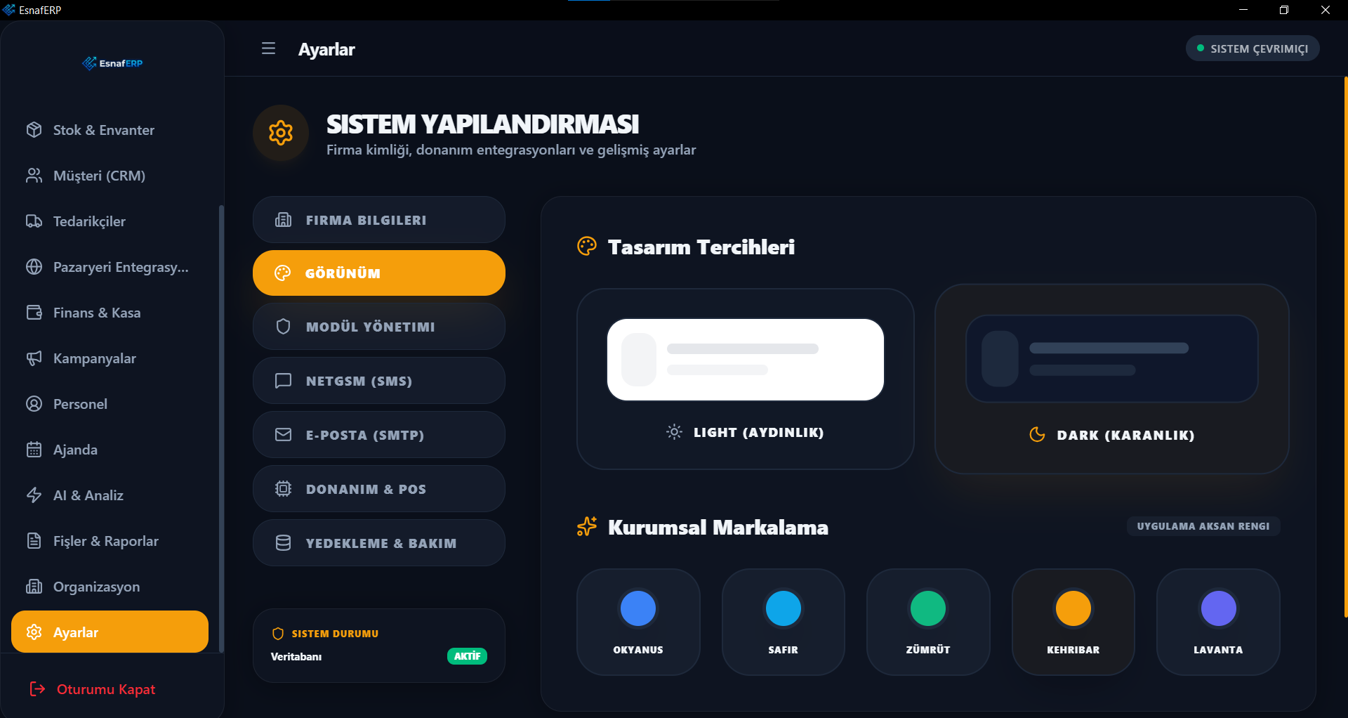 EsnafERP görünüm ve tema ayarları